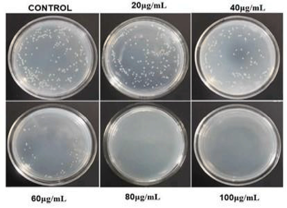 hor-aid1029-g012