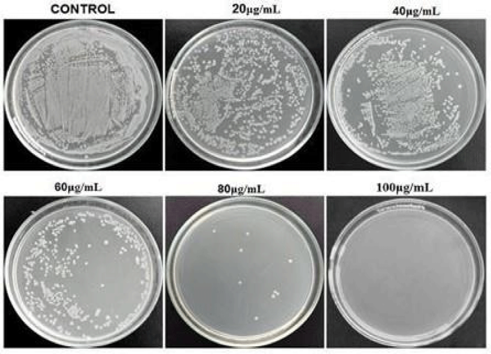 hor-aid1029-g013